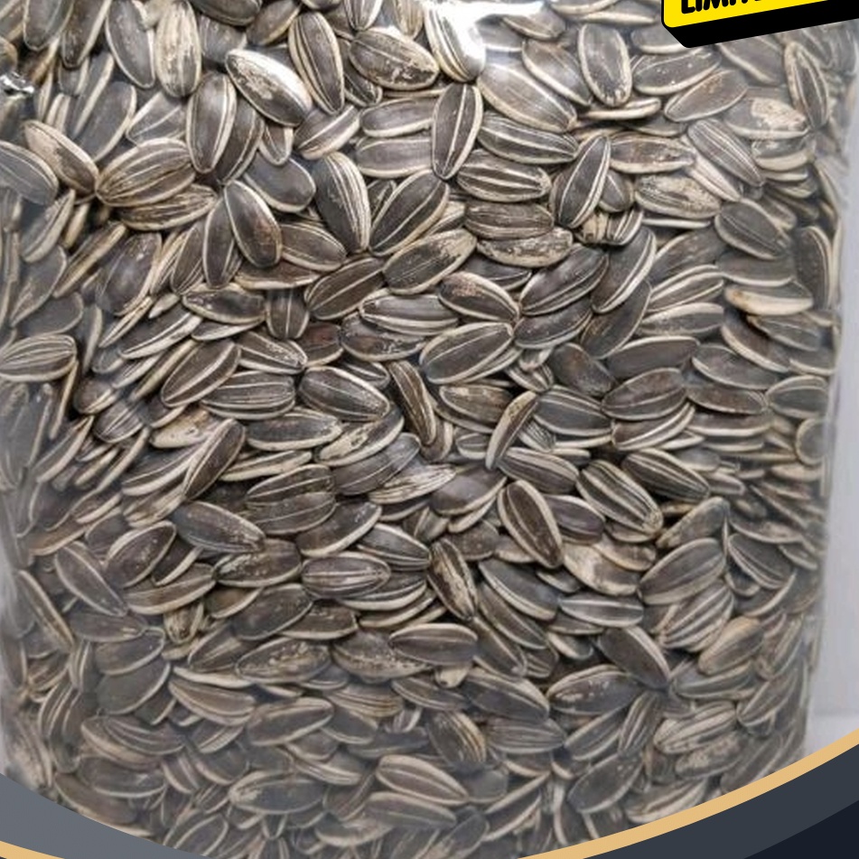 

KHUSUS KWACI BIJI BUNGA MATAHARI KULIT 5gr