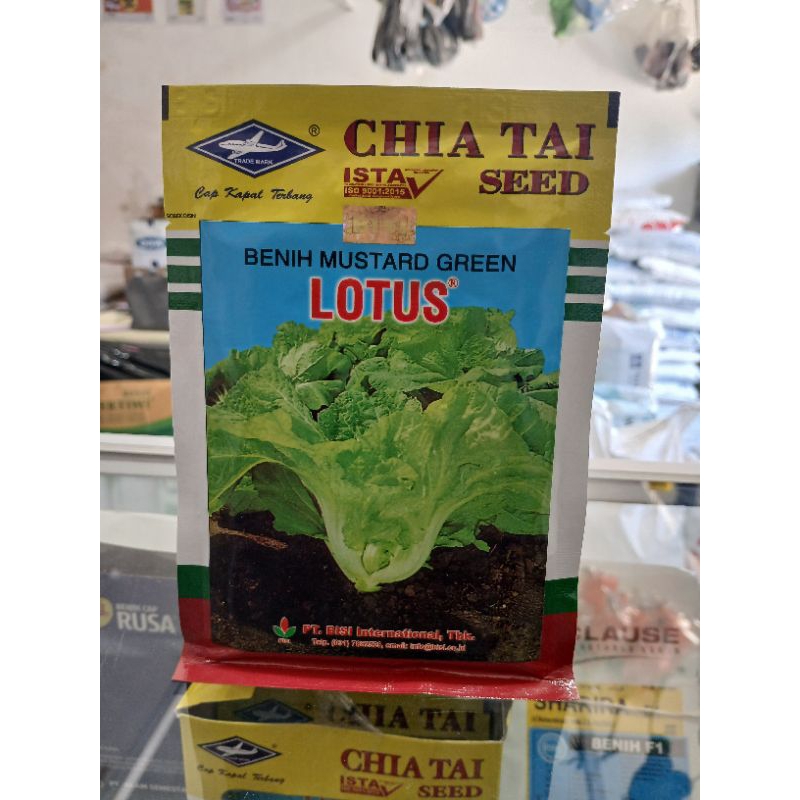Lotus Benih Sawi Pahit / Chia Tai Seed / Cap Kapal Terbang