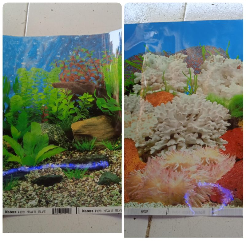 Background Aquarium Gambar Laut/Tawar
