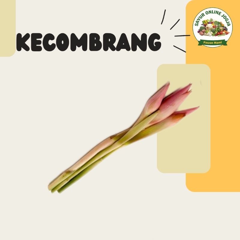 

Kecombrang per batang - PAWON MAMI SAYUR ONLINE JOGJA