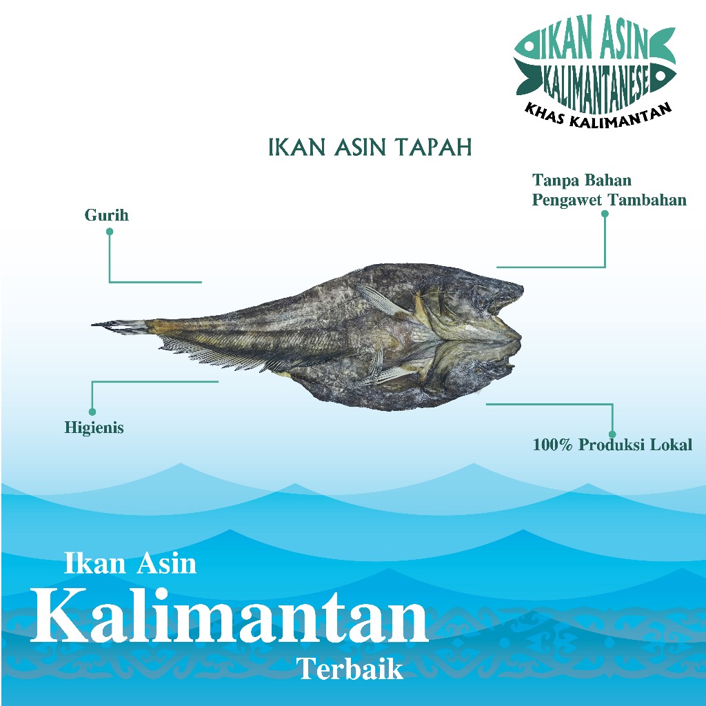 

Ikan Asin/Iwak Karing Tapah khas Kalimantan