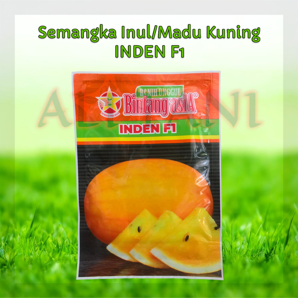 INDEN F1 20 GR Benih/Bibit Semangka Kuning