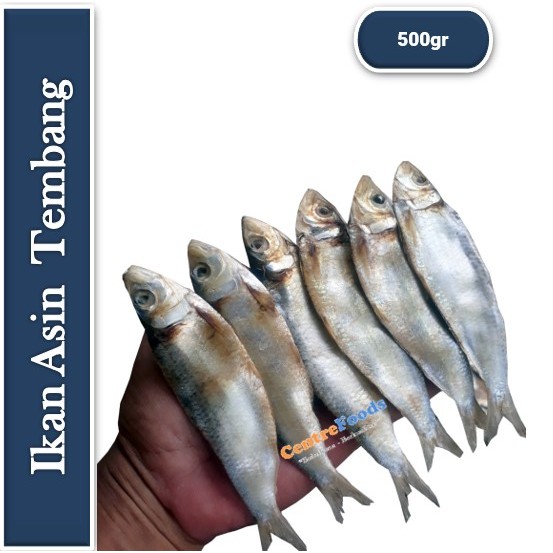 

Ikan Tembang Asin - Ikan Asin Fresh | 500gr [ Berat Per 0,5 Kg ]