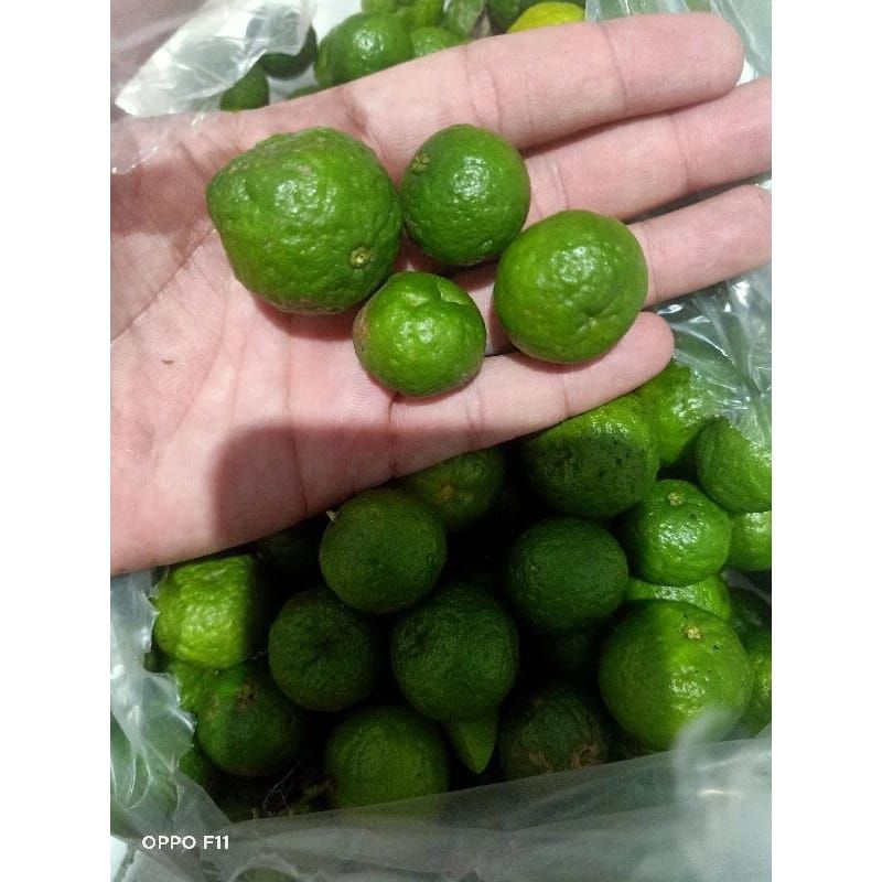 

jeruk limo/limau segar langsung dari kebun sendiri 1 kg press