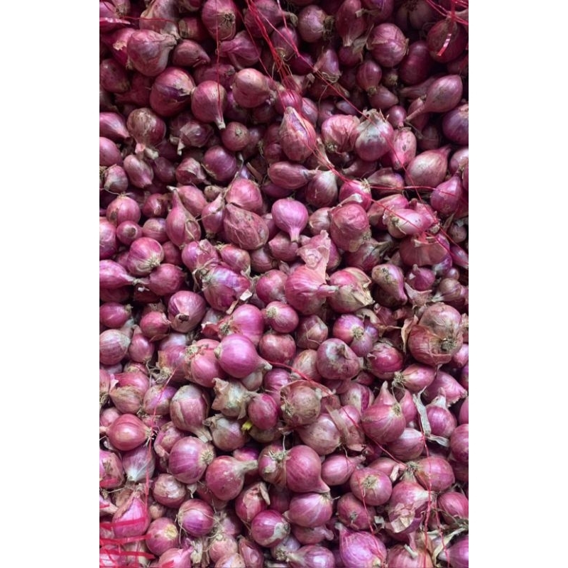 

bawang merah brebes