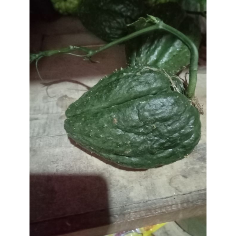 

bibit labu Siam langka /biji 1 pcs