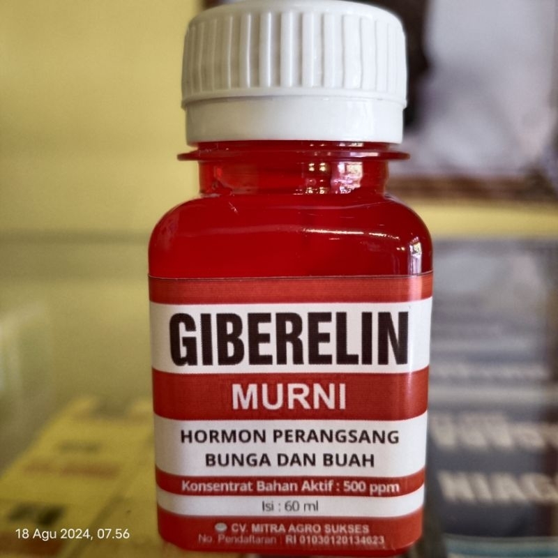 Zpt giberelin murni kemasan 60 ml