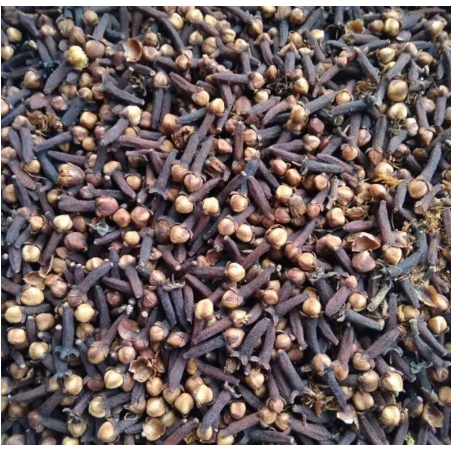 

Cengkeh Kering Petikan Terbaru 500gr