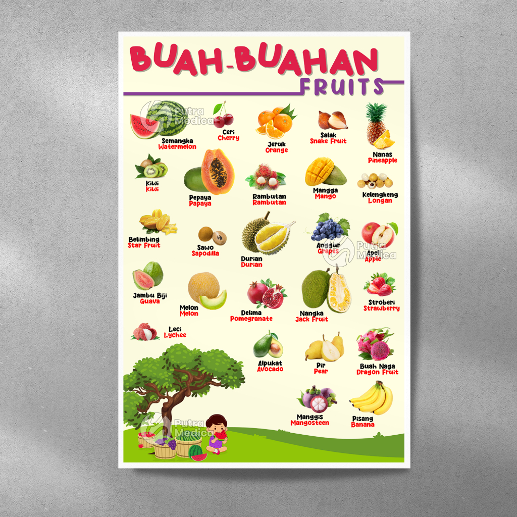 Poster Mengenal Buah - Buahan A3+ / Gambar Edukasi Anak / Belajar Buah