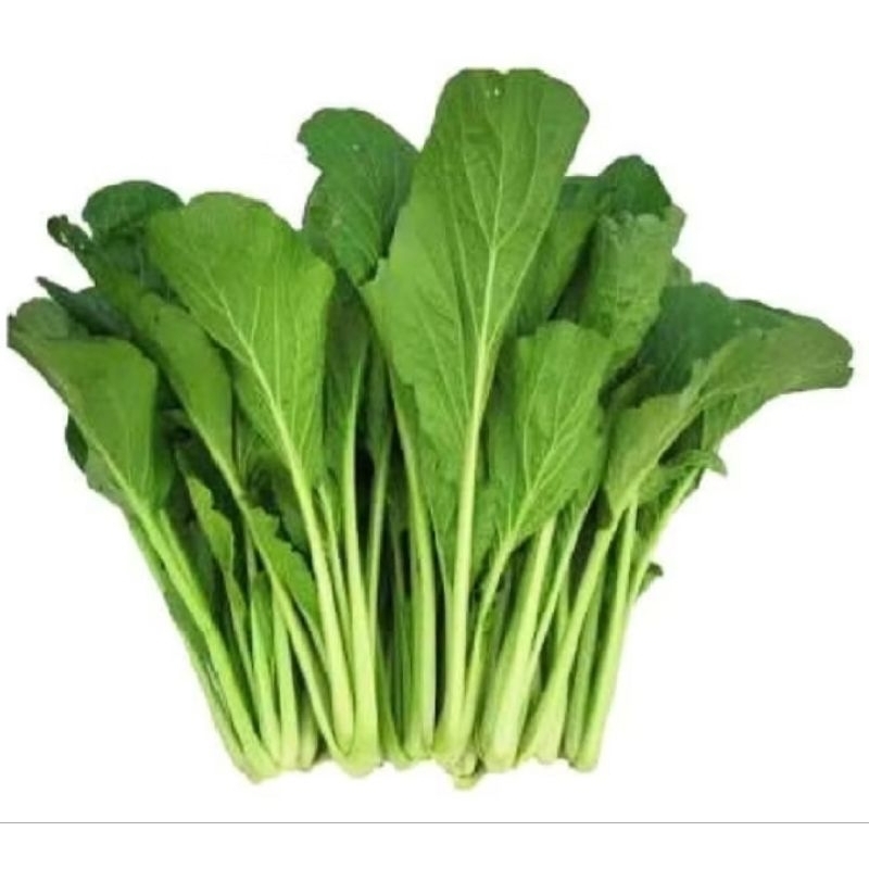 

Sawi Hijau / 250 Gram