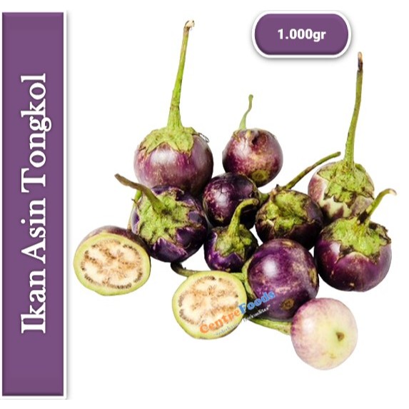 

Terong Bulat Ungu - Terong Lalap Fresh | 1.000gr [ Harga Per KG ]