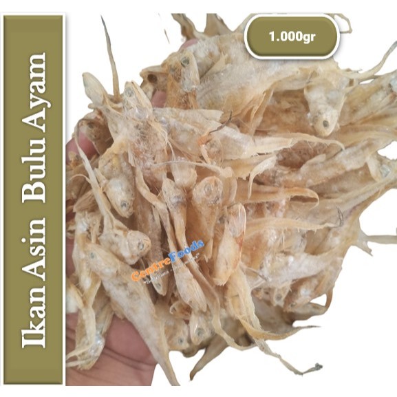 

Ikan Bulu Ayam Asin - Ikan Asin | 1.000gr [ Berat Per KG ]