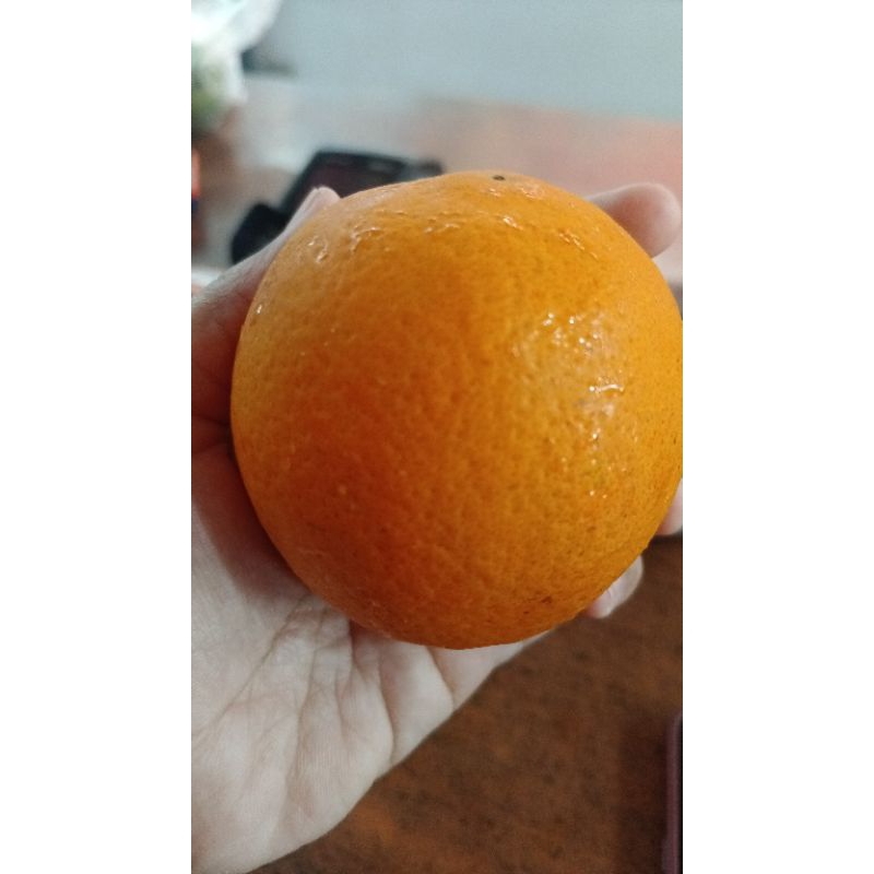 

Sunkis Navel (ditimbang wajib chat admin) - Toko Buah Darto Jaya