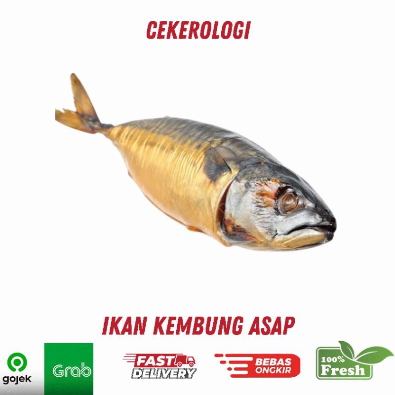 

Ikan Kembung Asap 1pcs / Ikan Kembung Asap / Kembung Asap / Ikan Kembung / JABODETABEK / Ikan