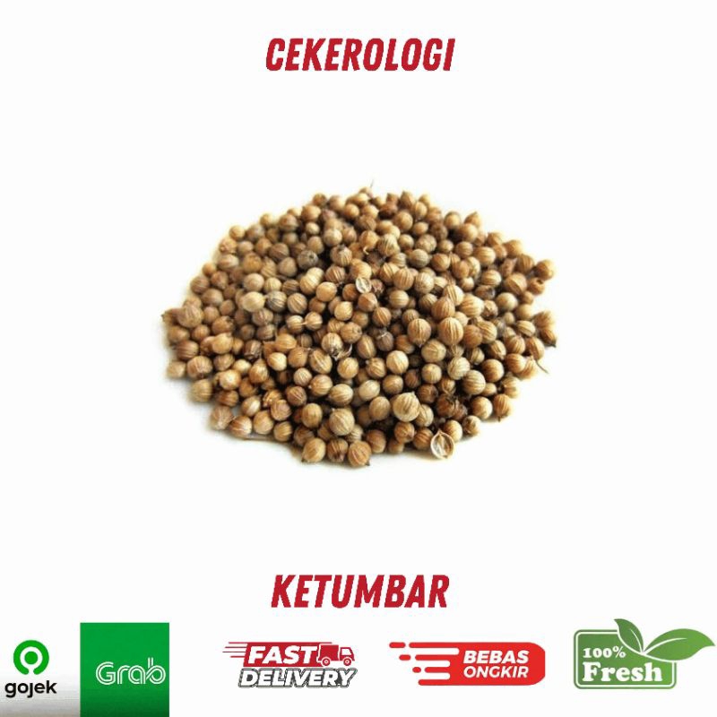 

Ketumbar 250gr / Ketumbar / Ketumbar Berkualitas / JABODETABEK / Rempah Rempah