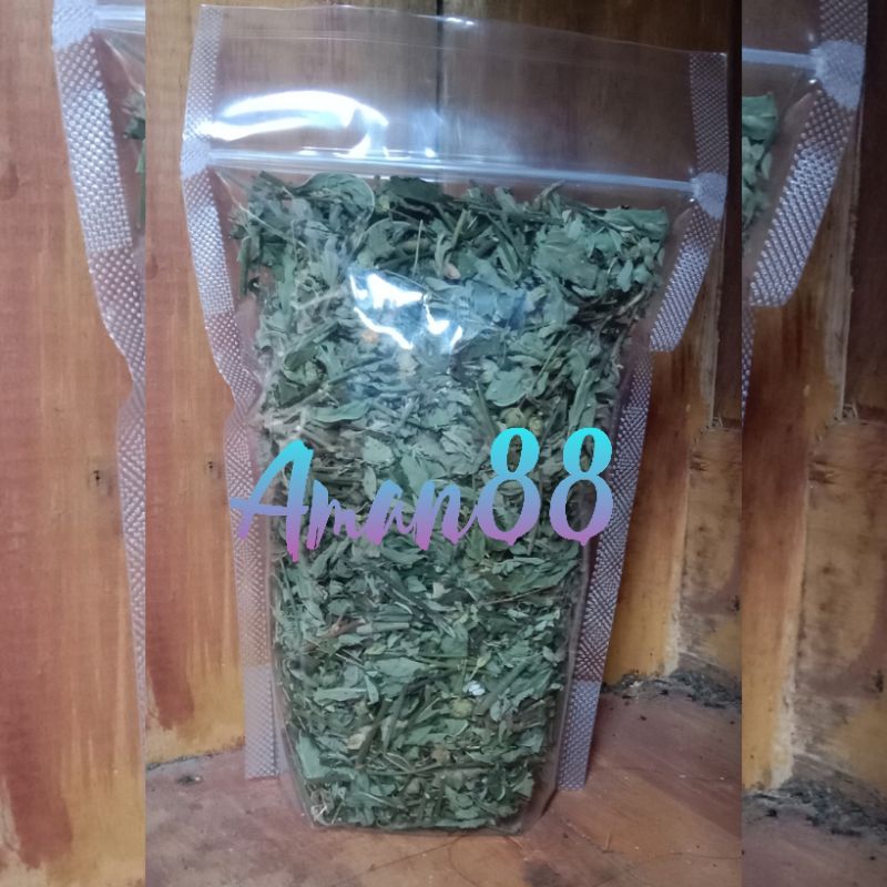 

Daun sidaguri kering siap pakai herbal
