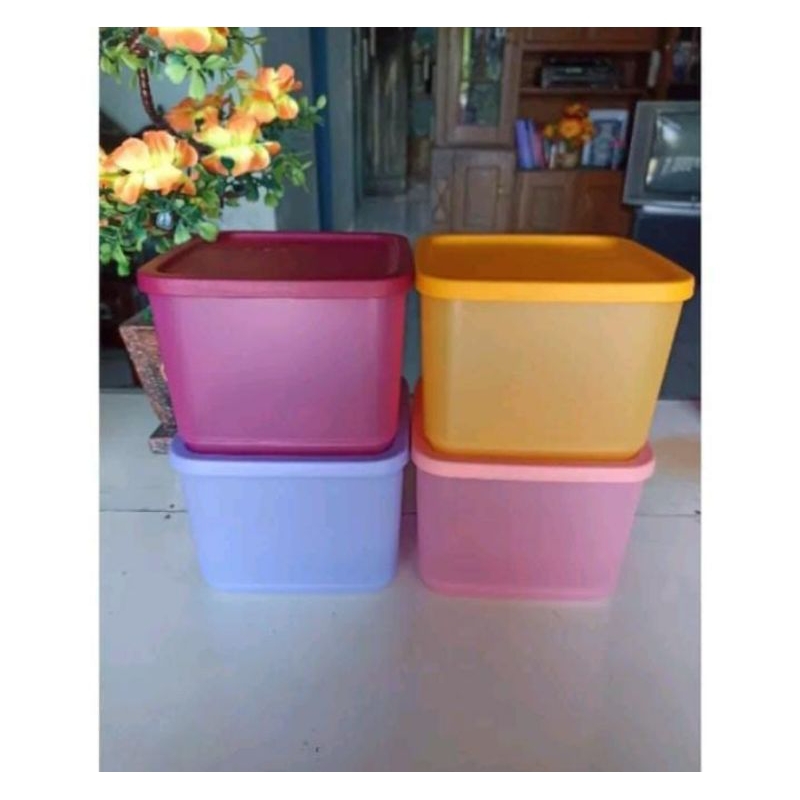 

Tuperware 3pcs Random Medium Tropical Medium Summer Kotak Serbaguna