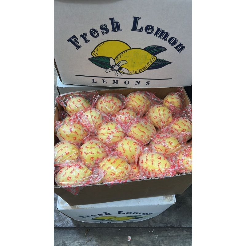 

LEMON IMPORT