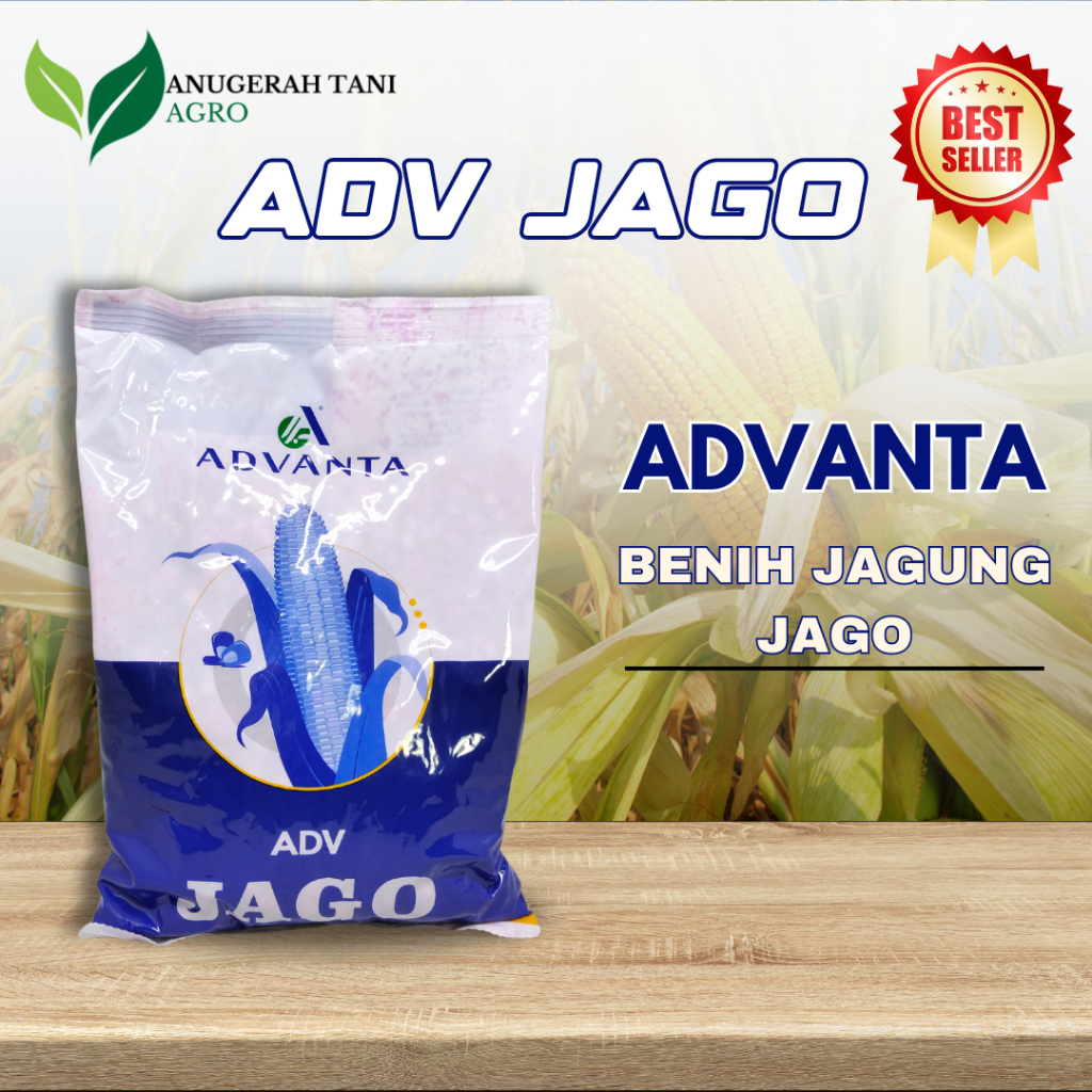 Benih Jagung Hibrida ADV JAGO Kemasan 1 Kg Tahan Bulai