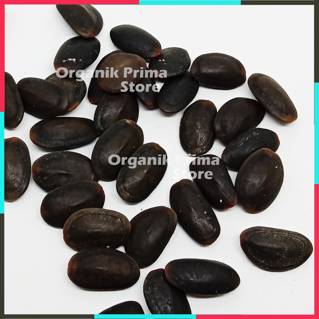 

Biji Kedawung atau Dawung Bersih dan Organik