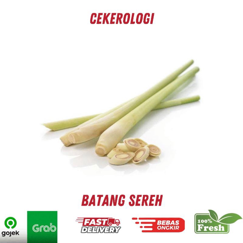 

Batang Sereh 250gr / Batang Sereh / Batang Sereh Fresh Berkualitas / JABODETABEK / Sereh / Rempah Rempah