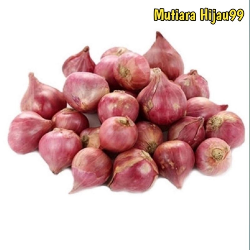 

BAWANG MERAH SUPER KEMASAN 500GR/BAWANG MERAH BREBES/BAWANG MERAH MURAH/BUMBU MASAK/BUMBU DAPUR