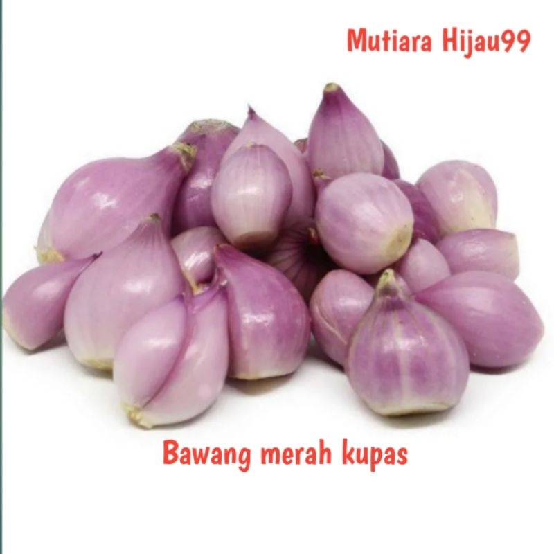 

BAWANG MERAH KUPAS 1KG/BAWANG MERAH BREBES/BAWANG MERAH SUPER/BAWANG MURAH/BUMBU MASAK/BUMBU DAPUR