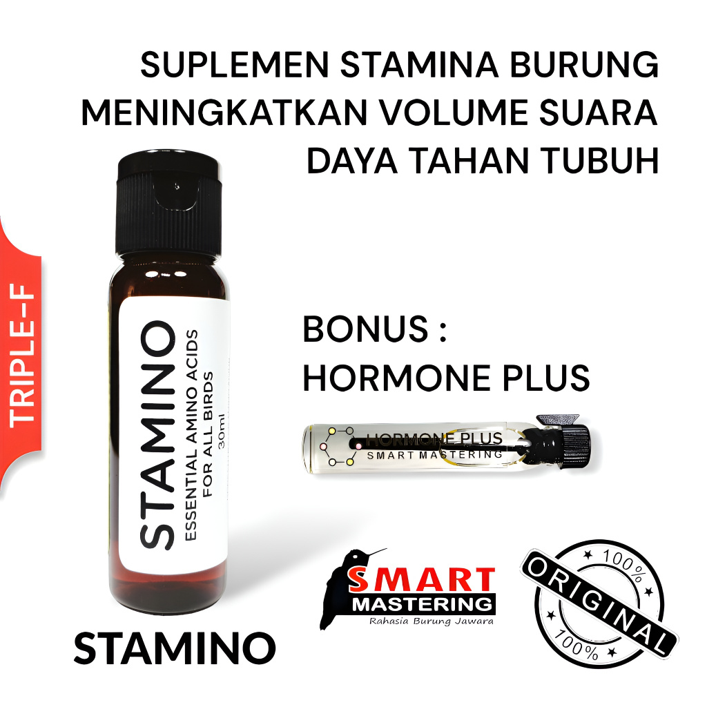STAMINO Suplemen Asam Amino Esensial Doping Penggacor Burung (Terbaik, Best Seller)