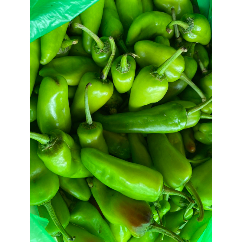 

CABAI HIJAU BESAR KHAS KALIMANTAN (500gr)