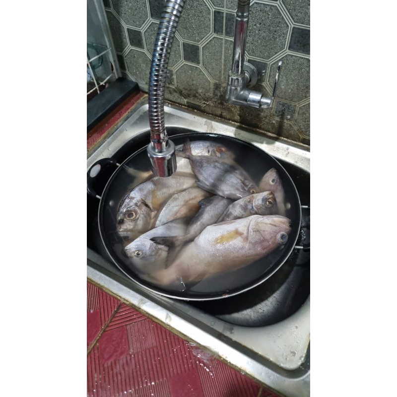 

ikan basah siap masak