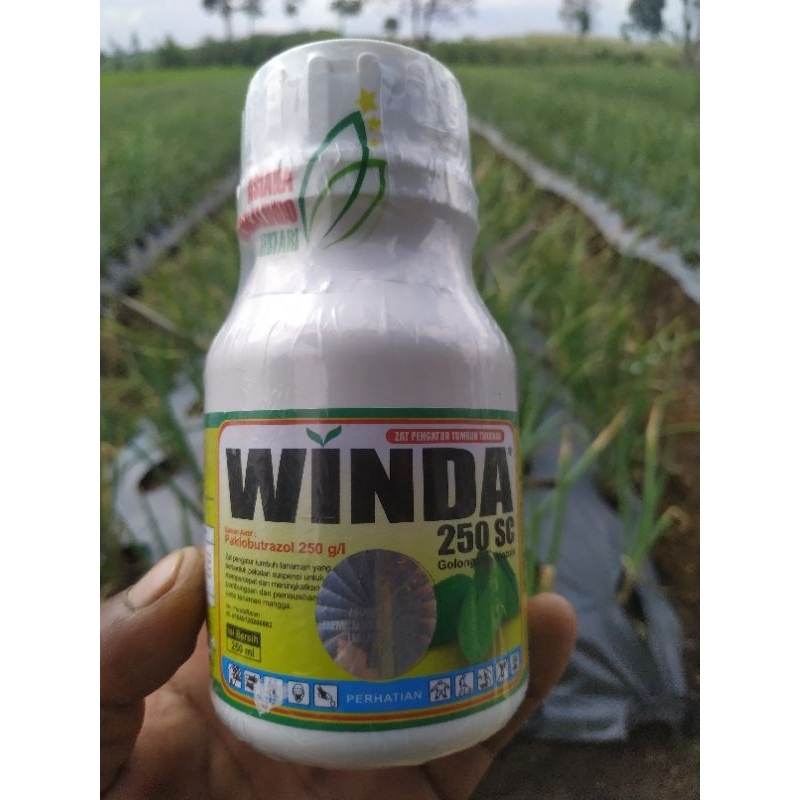 Winda 250sc Zpt Pembesar umbi bawang merah kemesan 250ml Produk Original