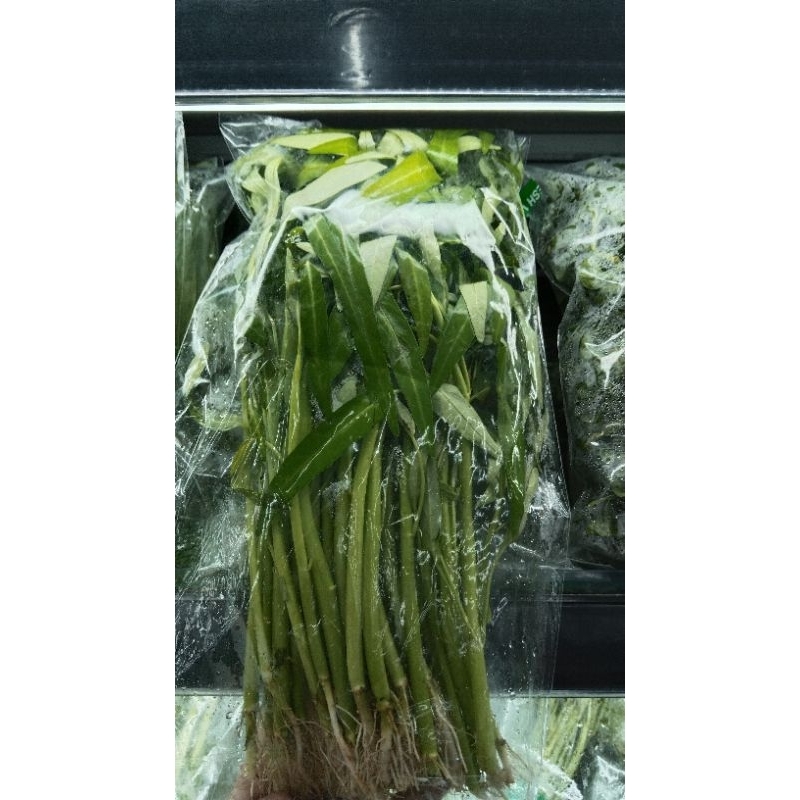 

Sayur Kangkung, Bayam, Bayam Merah 1 bks