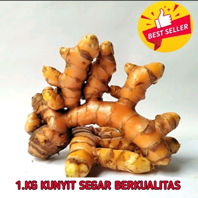 

Kunyit Kuning Segar 1kg Kunir bumbu / Koneng bumbu fresh