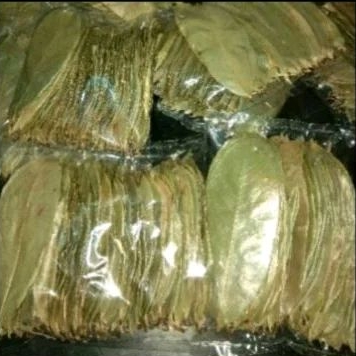 

Daun sirsak kering harga persatu lembar