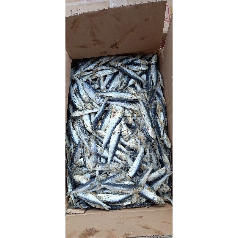 

ikan asin lesi 500 gram/ikan asin murah