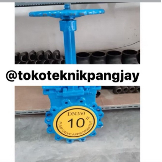 Knife Gate Valve 10 inch WCB Disc SS 304