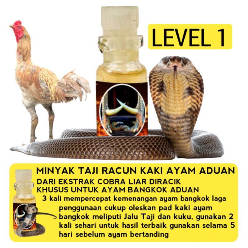Racun ayam Bangkok asli untuk kaki Jalu dan kuku
