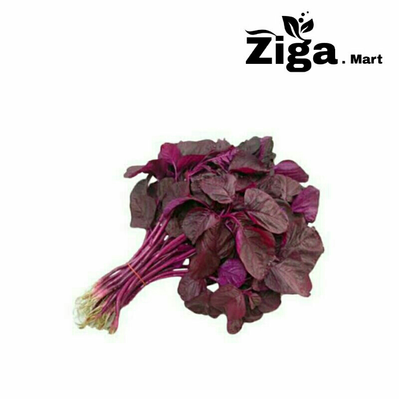 

Bayam Merah Segar Seikat