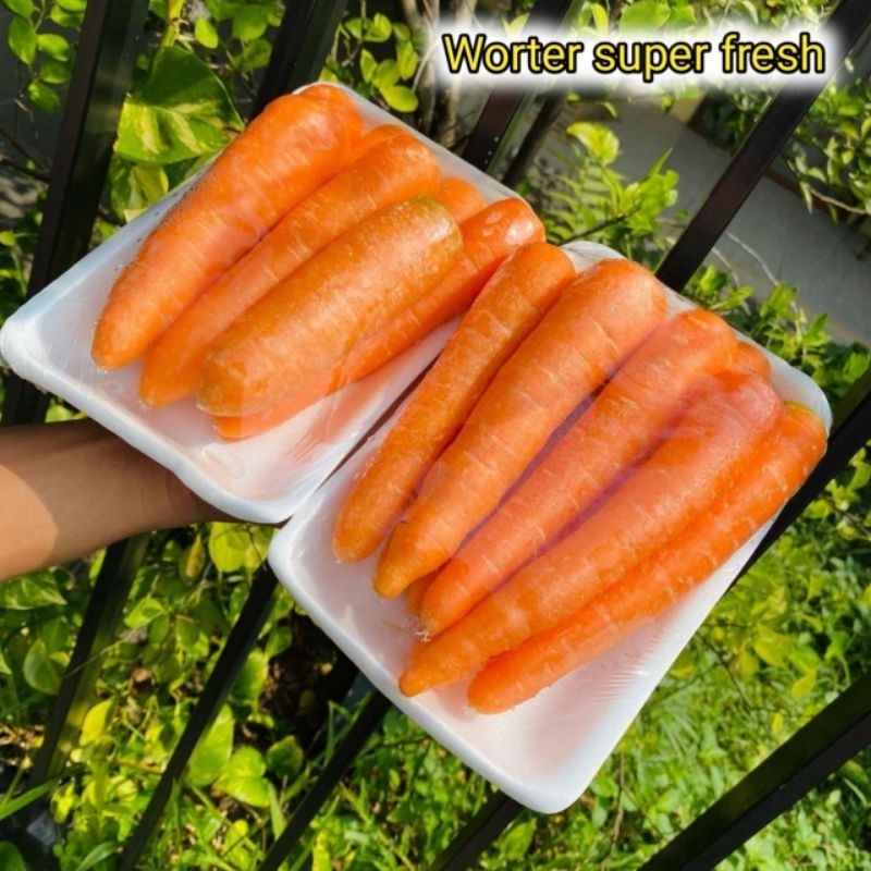 

PROMO WORTEL SEGAR 1KG/WORTEL SEGAR PILIHAN/WORTEL BERASTAGI/WORTEL IMPORT/SAYURAN SEGAR/ORGANIK