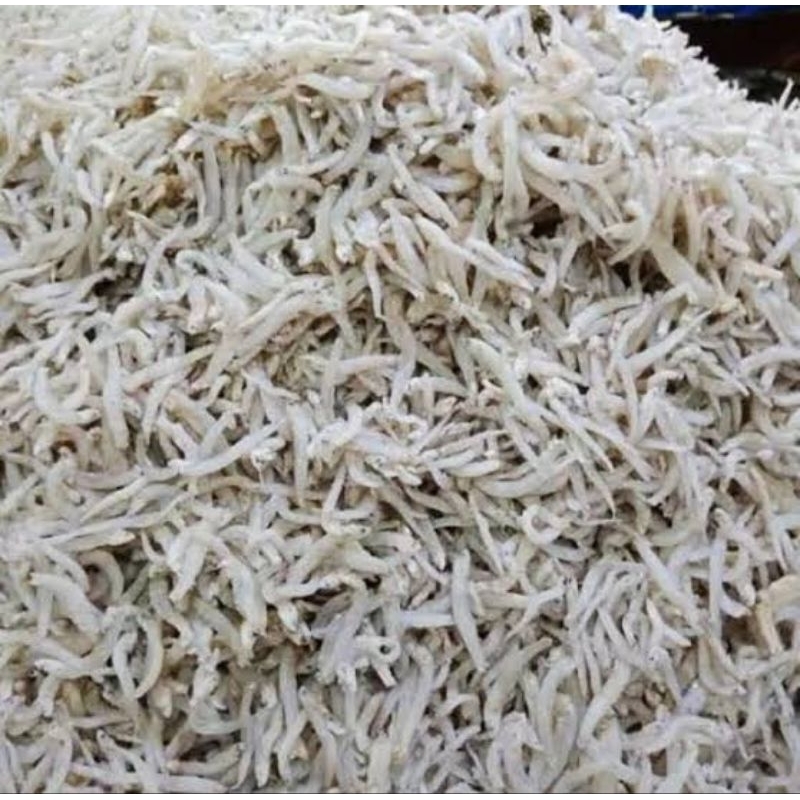 

Ikan Teri Nasi Tanjung Balai | segar
