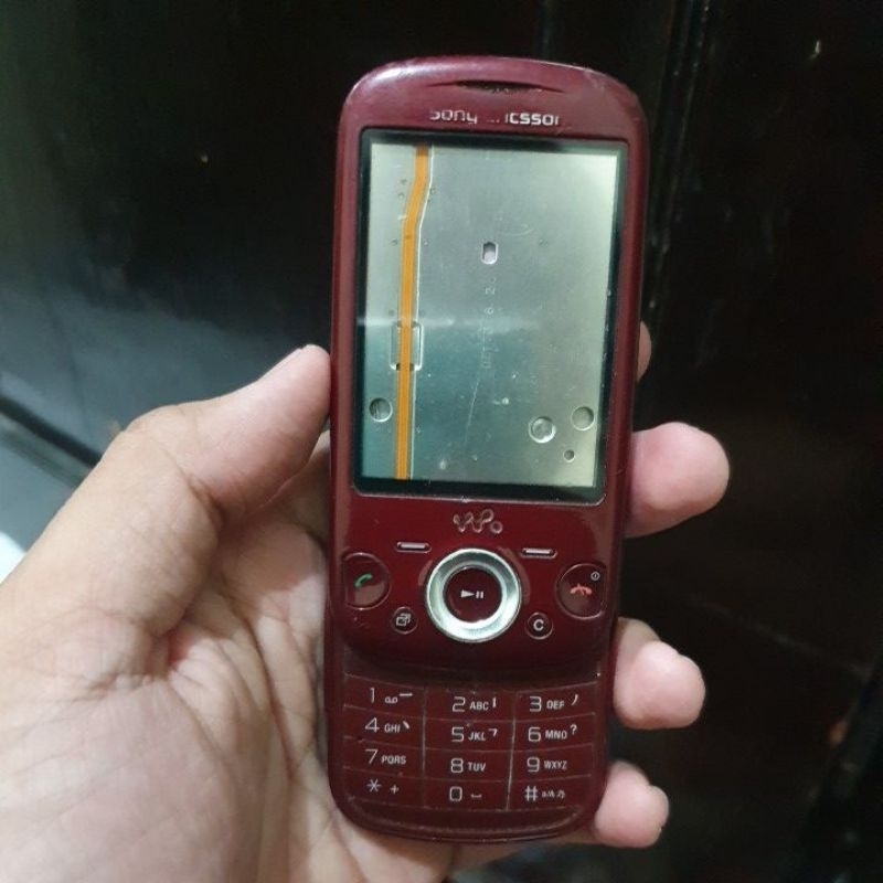 Casing Sony Ericsson W20i Zylo Ori Copotan