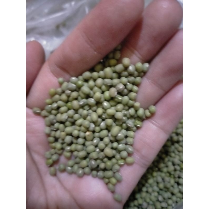

KACANG HIJAU BIJI KECAMBAH 500gr