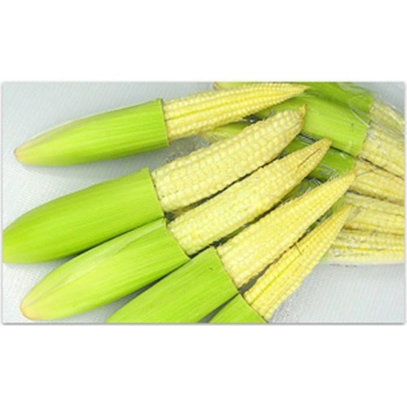 

jagung baby/jagung putren / baby corn 250 gr