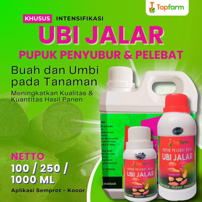 Pupuk Pembesar Buah Ubi Jalar / Pupuk Ubi Jalar Jumbo / Pupuk Khusus Ubi Jalar / Pupuk Ubi Jalar / P