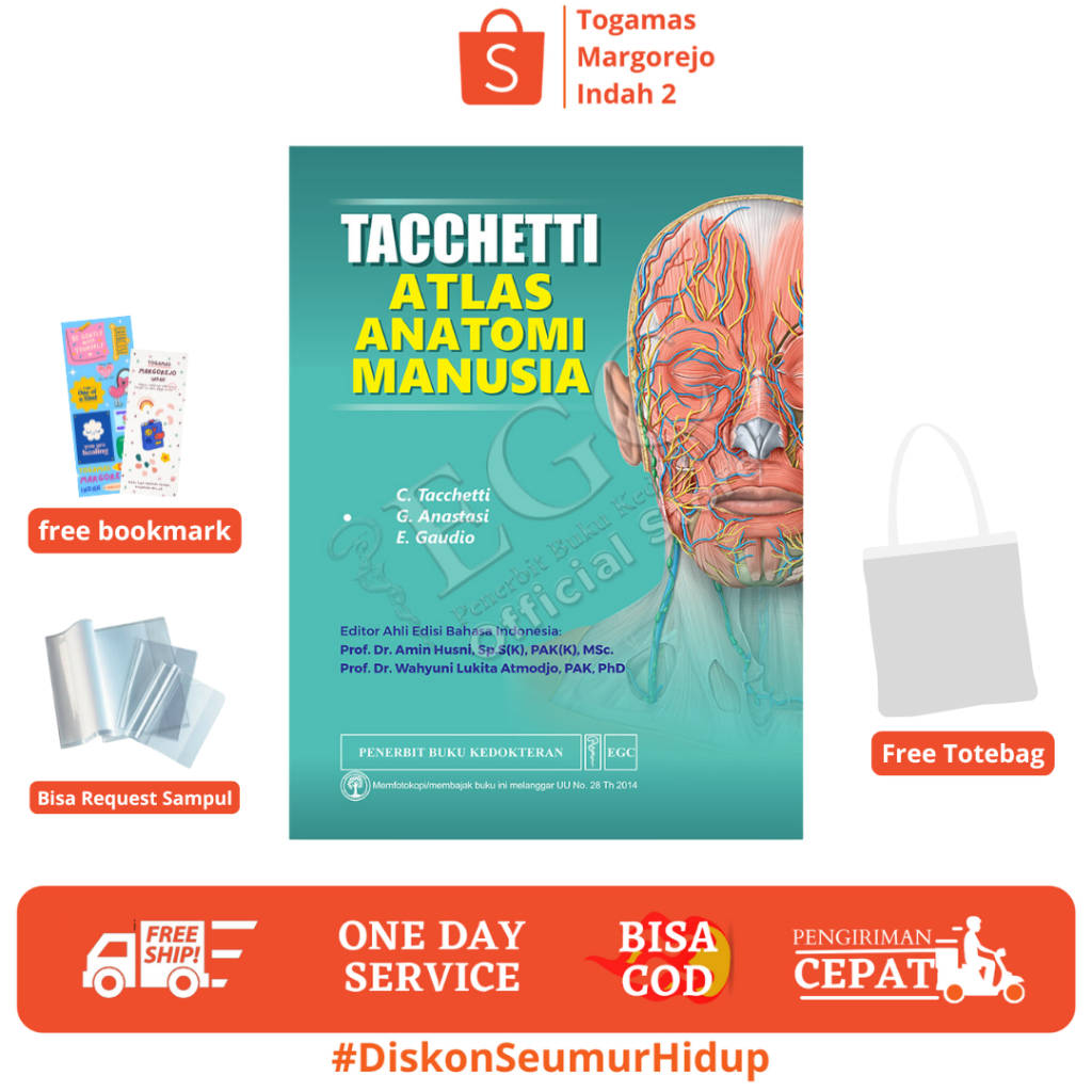 BEST SELLER TACCHETTI - ATLAS ANATOMI MANUSIA - C. TACCEHETTI , G. ANASTASI & E. GAUDIO