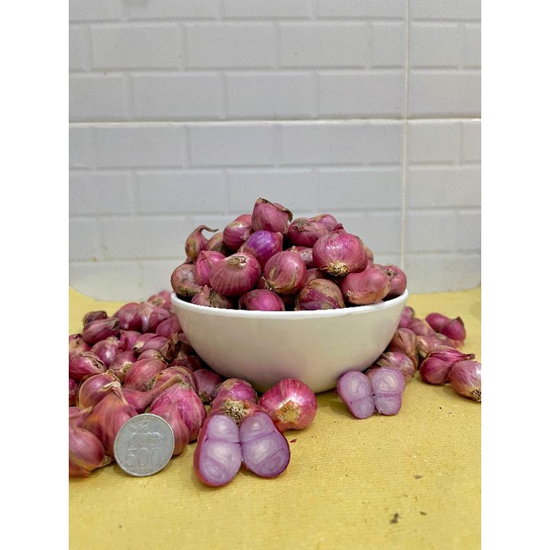 

Bawang merah lokal kualitas premium besar-besar dan kering