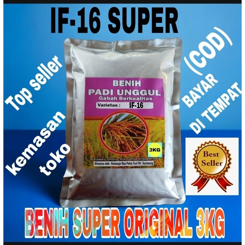 BENIH PADI IF-16 SUPER BERKUALITAS ORIGINAL 3KG