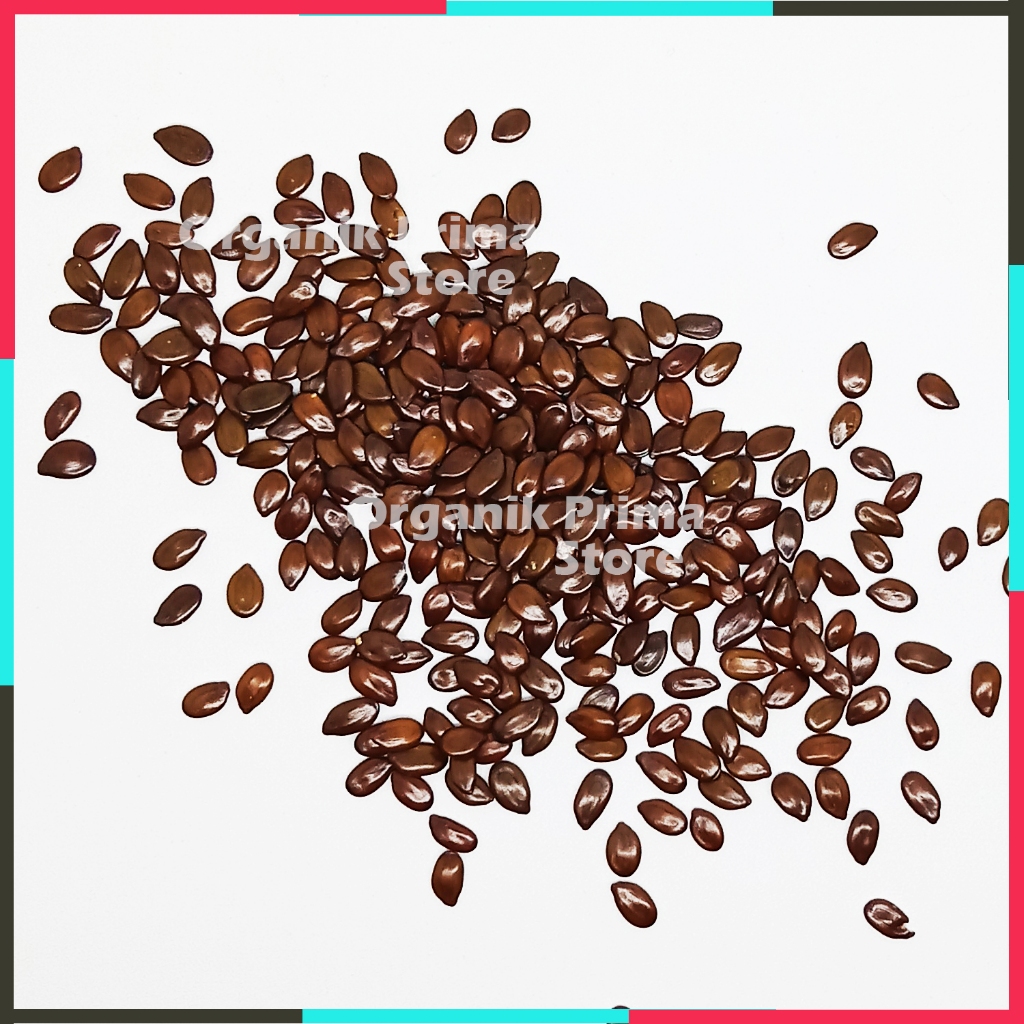 

Biji Lamtoro Kering Bersih dan Organik