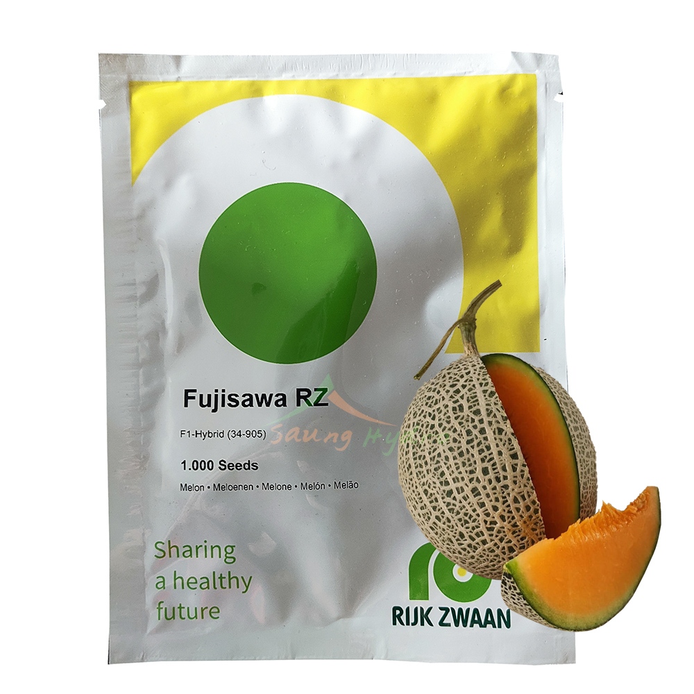 Benih Melon Fujisawa Rijk Zwaan RZ 1000 seed