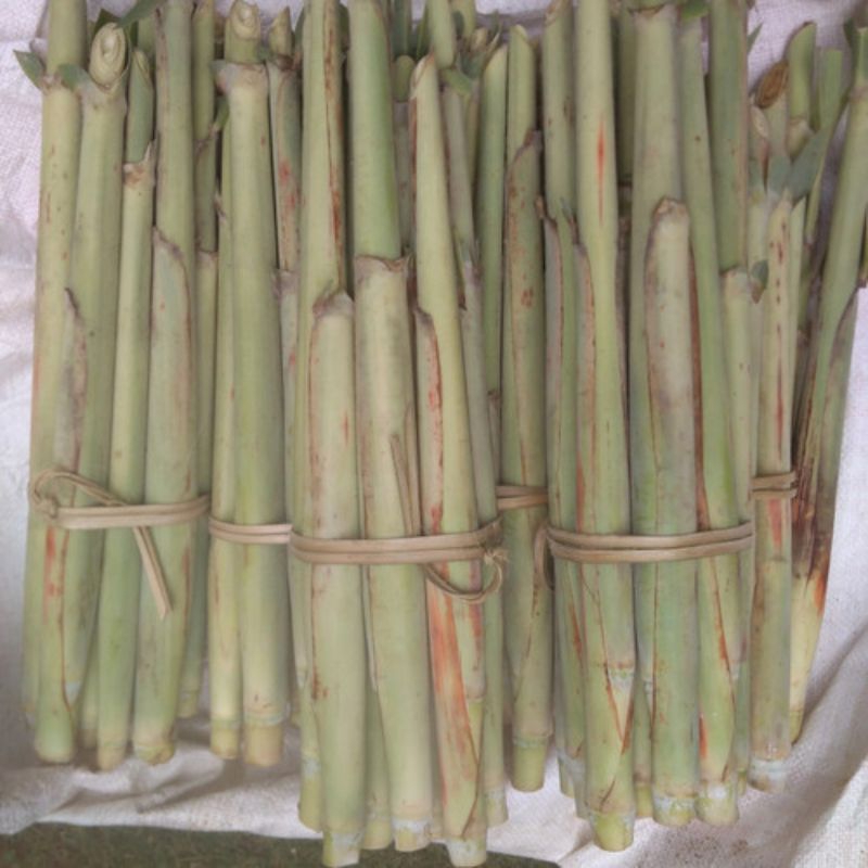 

REDY turubuk sayur segar 500gram cod .